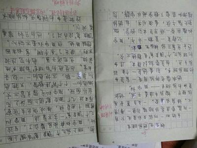 我的小伙伴作文300字 我的小伙伴作文400字