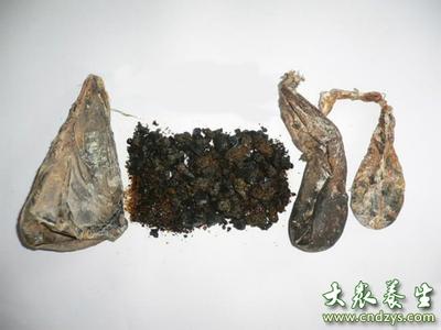 熊胆粉的功效与作用 熊胆的功效与作用 熊胆有哪些好处