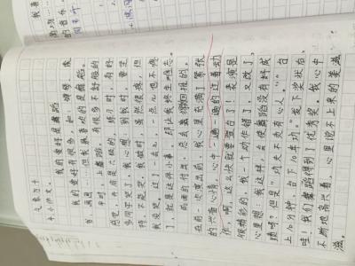 我的兴趣爱好作文500字 我的爱好作文500字