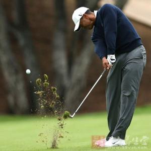 王宝强与文章打高尔夫 如何打高尔夫 想成为高尔夫高手必学的技巧