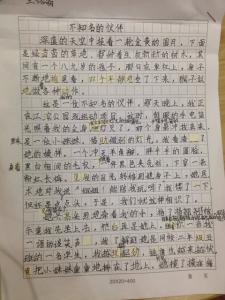 写好朋友的作文300字 我的好朋友作文300字