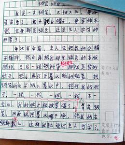 钢笔的自述作文400字 钢笔的自述作文