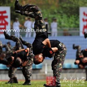 特种兵徒手格斗术 武术健身 特种兵的格斗技巧介绍