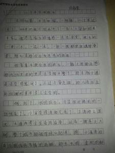 二十年后回故乡600字 二十年后回故乡作文500字