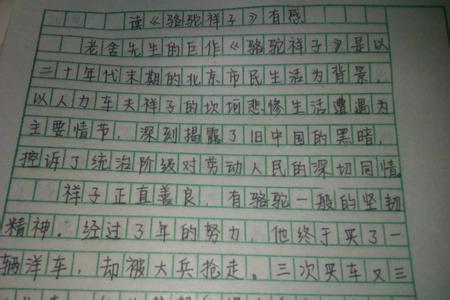 游图书馆有感500字 让我最难忘的一本书有感500字