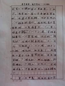 渴望和平500字 感受美好500字作文