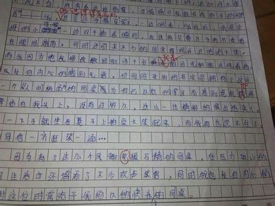 我的好朋友作文500字 我的小伙伴作文450字