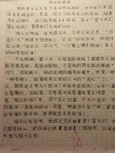 成长的烦恼作文300字 成长的烦恼作文400字