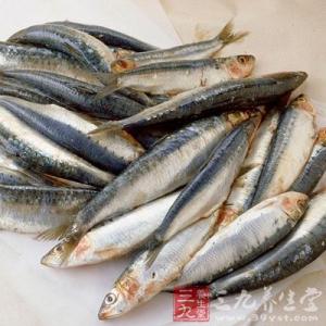 沙丁鱼的营养价值 沙丁鱼的营养价值 沙丁鱼怎么吃最营养