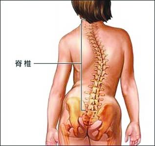 脊柱侧弯自我矫正法 脊柱侧弯矫正 孩子发育期间需警惕脊柱侧弯