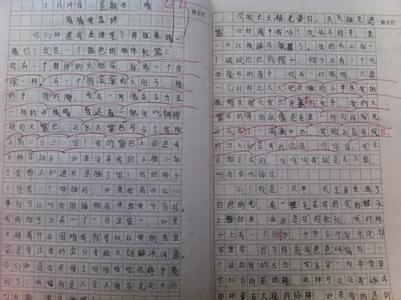 春游的活动作文 关于春游的作文400字