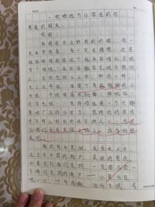 周记一则400字普通话 小学生周记一则400字