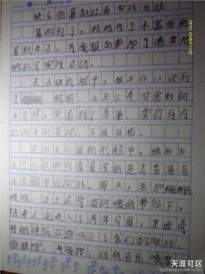 关于实践的作文800字 关于实践的作文