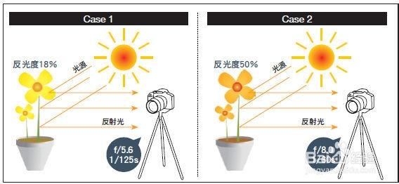 单反相机如何测光 数码单反相机的测光方法