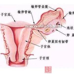 盆腔炎是怎么引起的 5个不良卫生习惯是凶手