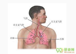 气管炎的症状吃什么药 气管炎的症状