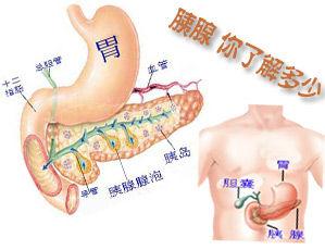 胰腺炎疼痛部位 胰腺 胰腺-胰腺炎，胰腺-人体部位