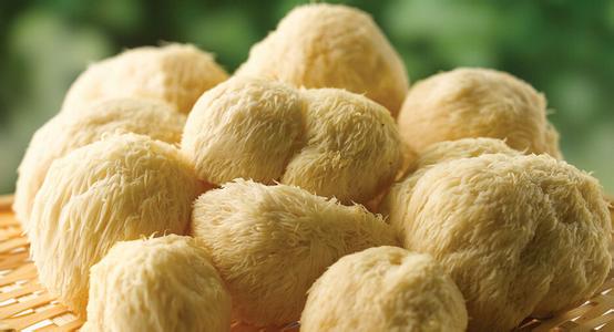 猴头菇的营养价值 猴头菇的营养价值 猴头菇的作用有哪些