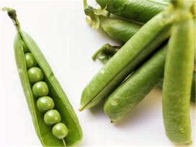 四季豆的营养价值 四季豆的营养价值 四季豆的食疗方法