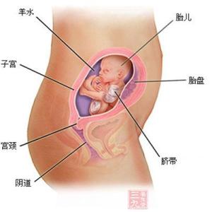 怀孕四个月症状 怀孕四个月 准妈妈怀孕4个月的症状