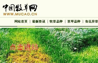 中国牧草企业 中国牧草网