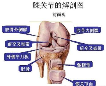 爬山后膝盖疼怎么缓解 爬山膝盖疼怎么办