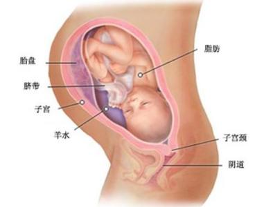 怀孕九个月注意什么 怀孕九个月 孕晚期要注意些什么