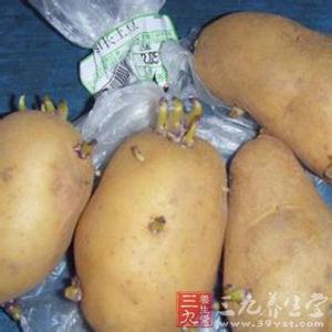 土豆发芽程度不能吃图 专家称土豆发芽削掉依然有毒害