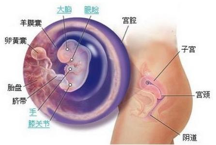 怀孕15天有什么症状 怀孕有什么症状 15个症状你有几个