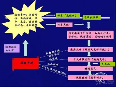 英语句子基本结构概述 中国癫痫日 中国癫痫日-基本概述，中国癫痫日-癫痫日区别