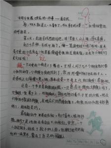 冬天的一件事作文400字 寒假里的一件事作文300字