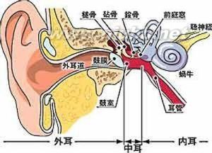 美尼尔氏综合症 美尼尔综合症 美尼尔综合症-简介，美尼尔综合症-病因