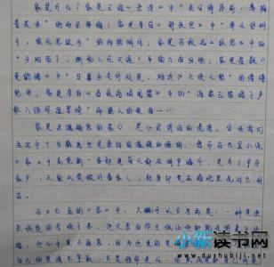 《家》读后感800字高中 家读后感800字