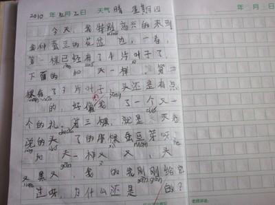 玫瑰花作文300字左右 玫瑰花作文300字