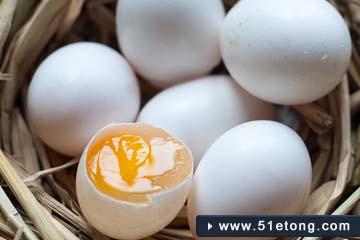 鸽子蛋多少钱一个 鸽子蛋怎么吃营养