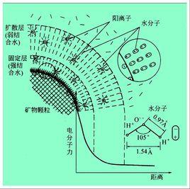 村基本情况简介 非结合水 非结合水-基本简介，非结合水-相关词条