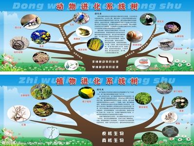 古生物资料简要介绍 生物进化 生物进化-简要介绍，生物进化-思想发展