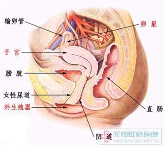 憋尿会引起尿道炎吗 女性尿道炎 憋尿小心憋出尿道炎