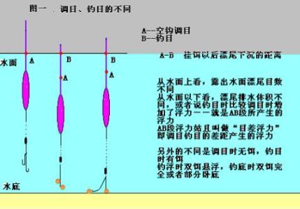 浮漂怎么调整 钓鱼新手如何调整浮漂