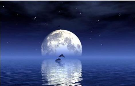 赞美月亮的诗句 月亮有关的诗句、赞美月亮的诗句