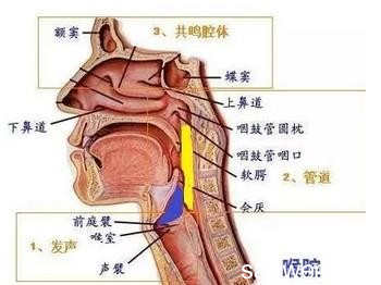 怎么唱高音简单的技巧 怎么唱高音？唱高音技巧