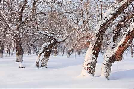 描写冬天景色的诗句 有关冬天景色的诗句、跟冬天有关的诗句