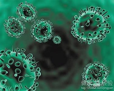 禽流感病毒形态 禽流感病毒 禽流感病毒-预防禽流感病毒，禽流感病毒-病毒形态
