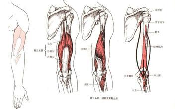 左手臂酸痛是什么原因 手臂酸痛是怎么回事