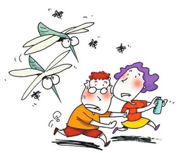 夏季蚊虫 夏季防蚊虫 如何让它远离你