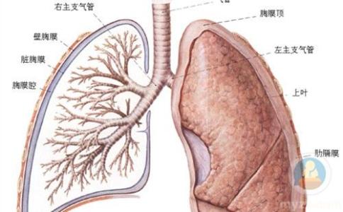 肺癌早期症状 肺病的症状有哪些