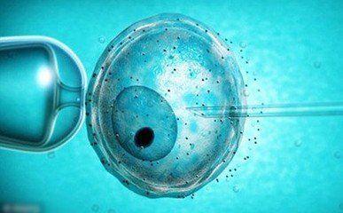 胚胎冷冻原理 冷冻胚胎 冷冻胚胎-技术原理，冷冻胚胎-应用领域