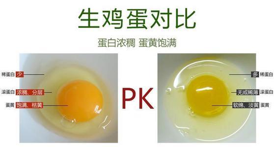 煮熟真假鸡蛋怎么分辨 怎么辨别假鸡蛋