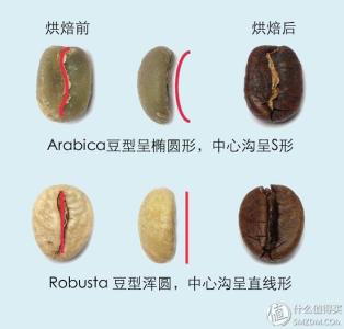 咖啡豆冲泡方法 怎样选择咖啡豆