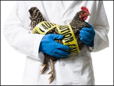 h7n9禽流感死亡率 我国内地2月27人因H7N9禽流感死亡